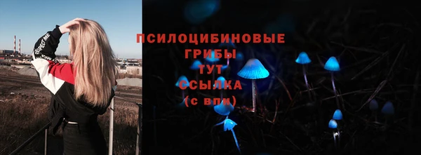 MESCALINE Магадан
